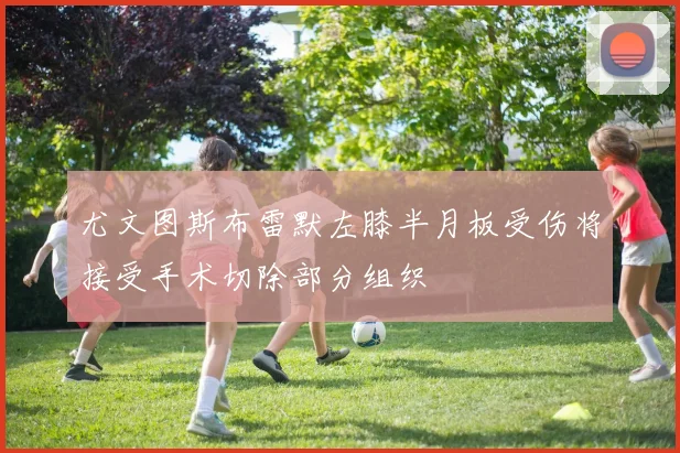 尤文图斯布雷默左膝半月板受伤将接受手术切除部分组织