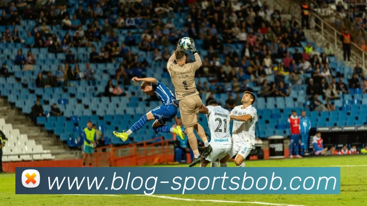 多媒体互动体验